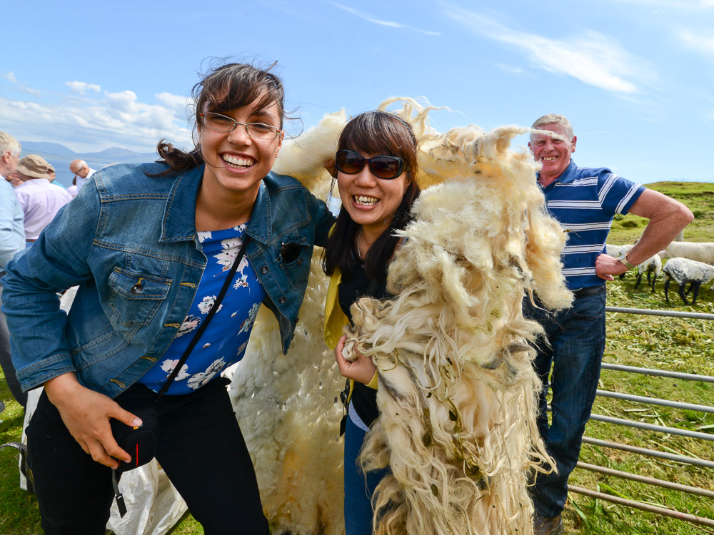 Co Mayo, Ireland, sheep sheering competition at the Patterm, 28th June, 2014, on Inishturk Island