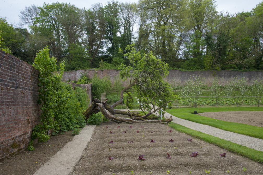 Colclough Walled Garden A Restored Victorian Geometric