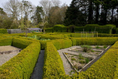 Potager designed box maize fruit and vegetable garden Kilmokea House and Garden, Campile, County Wexford, Ireland