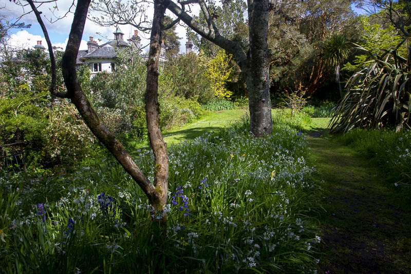 Mount Usher Garden, Ashford, County Wicklow, Ireland