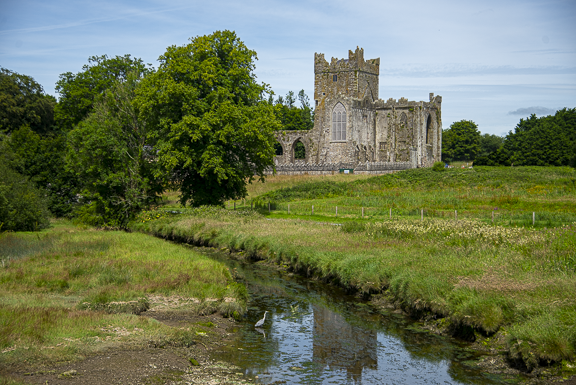Tintern Abbey, Hook Peninsula, County Wexford, Ireland