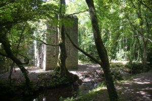 Tintern Abbey woodland walk