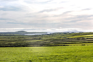Farm land and walls, Loop Head, County Clare, Ireland
